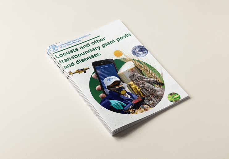 Locusts and Other Transboundary Plant Pests and Diseases - Visual Identity & Brochure