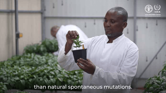 Nuclear & Related Techniques for Climate Action in Food and Agriculture
